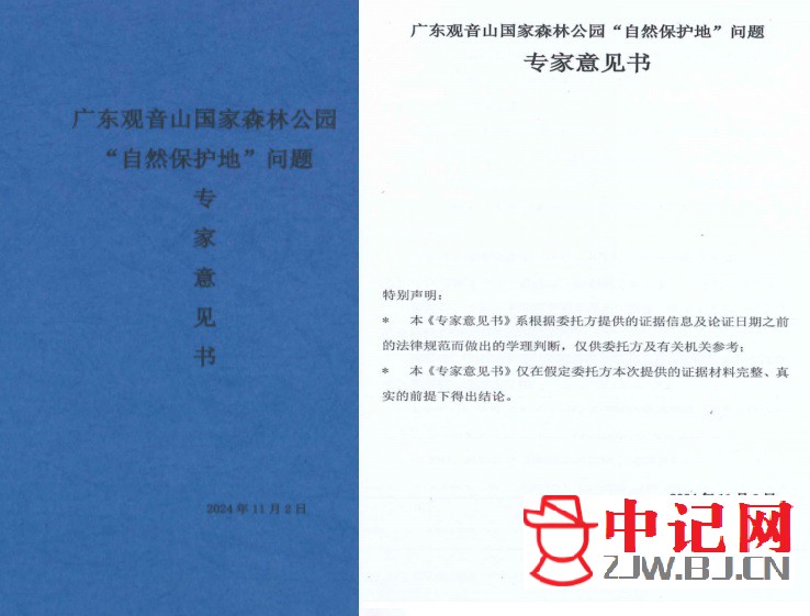 专家1.jpg